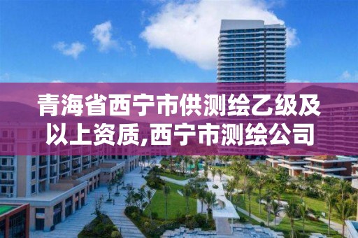 青海省西宁市供测绘乙级及以上资质,西宁市测绘公司。