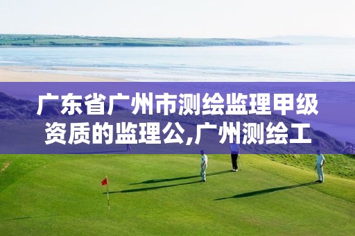 广东省广州市测绘监理甲级资质的监理公,广州测绘工程公司。