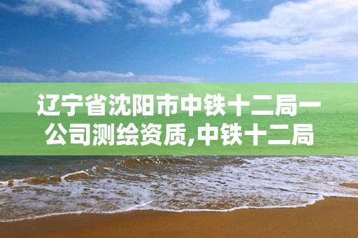 辽宁省沈阳市中铁十二局一公司测绘资质,中铁十二局检测公司。