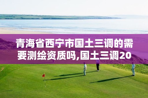 青海省西宁市国土三调的需要测绘资质吗,国土三调2021年能不能用。