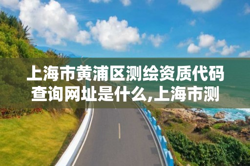 上海市黄浦区测绘资质代码查询网址是什么,上海市测绘产品质量。