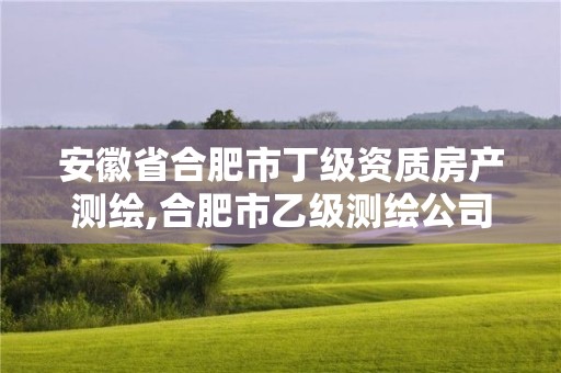 安徽省合肥市丁级资质房产测绘,合肥市乙级测绘公司。