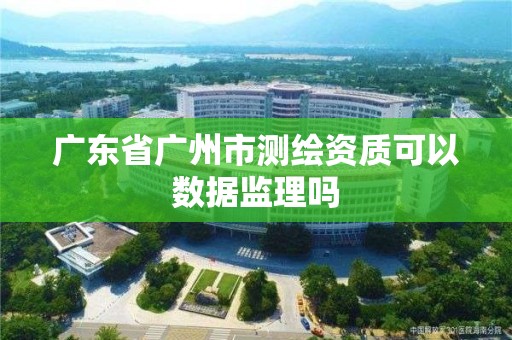 广东省广州市测绘资质可以数据监理吗