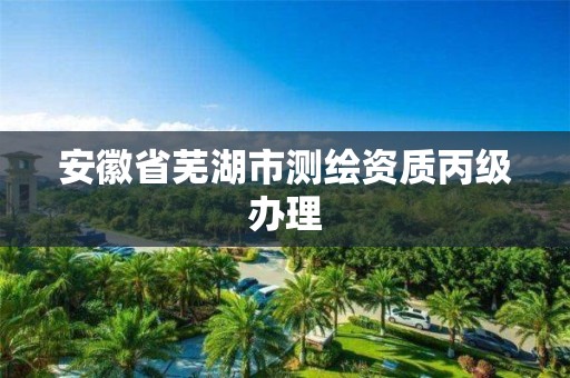 安徽省芜湖市测绘资质丙级办理