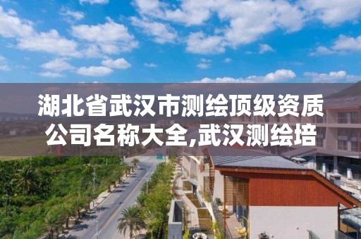 湖北省武汉市测绘顶级资质公司名称大全,武汉测绘培训。