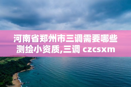 河南省郑州市三调需要哪些测绘小资质,三调 czcsxm。