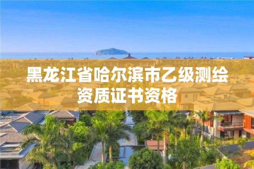 黑龙江省哈尔滨市乙级测绘资质证书资格