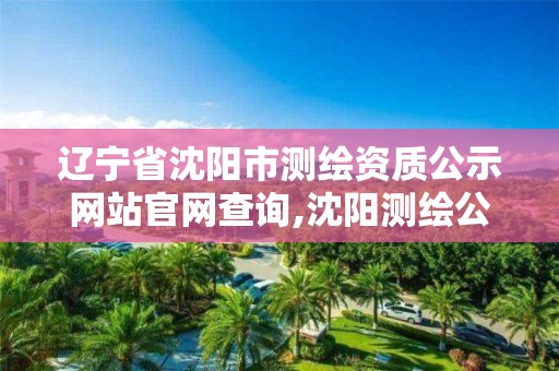 辽宁省沈阳市测绘资质公示网站官网查询,沈阳测绘公司哪家强哪家好。