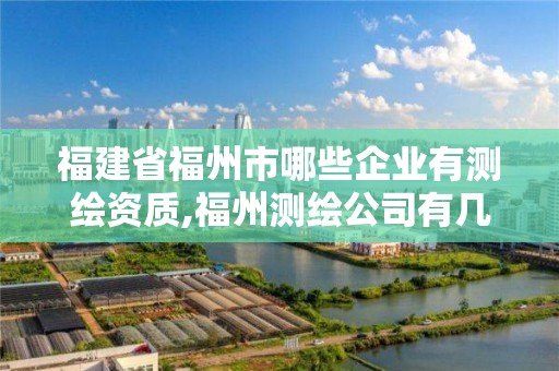 福建省福州市哪些企业有测绘资质,福州测绘公司有几家。