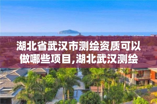 湖北省武汉市测绘资质可以做哪些项目,湖北武汉测绘公司排行榜。