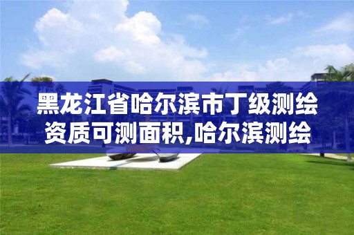 黑龙江省哈尔滨市丁级测绘资质可测面积,哈尔滨测绘局怎么样。