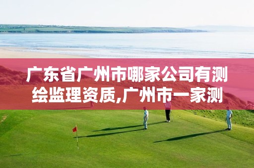 广东省广州市哪家公司有测绘监理资质,广州市一家测绘资质单位。