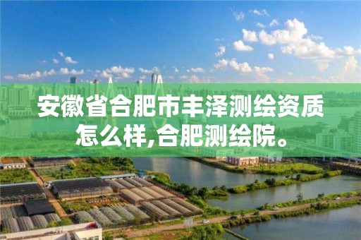 安徽省合肥市丰泽测绘资质怎么样,合肥测绘院。