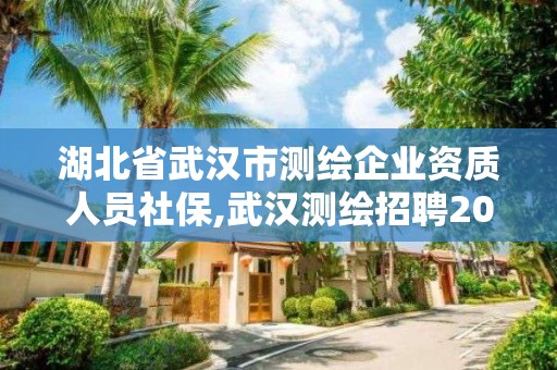 湖北省武汉市测绘企业资质人员社保,武汉测绘招聘2020。