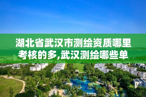 湖北省武汉市测绘资质哪里考核的多,武汉测绘哪些单位比较好。