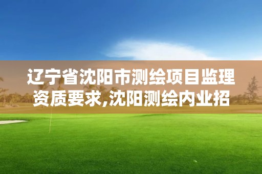 辽宁省沈阳市测绘项目监理资质要求,沈阳测绘内业招聘信息。