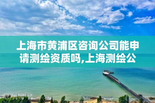 上海市黄浦区咨询公司能申请测绘资质吗,上海测绘公司有哪几家。