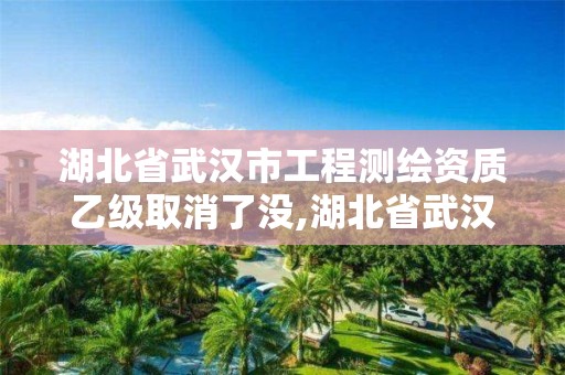 湖北省武汉市工程测绘资质乙级取消了没,湖北省武汉市工程测绘资质乙级取消了没。