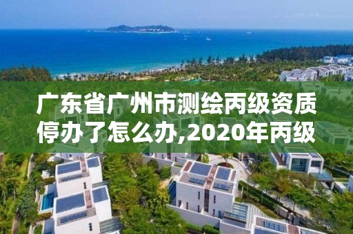 广东省广州市测绘丙级资质停办了怎么办,2020年丙级测绘资质会取消吗。