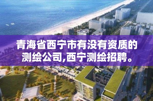 青海省西宁市有没有资质的测绘公司,西宁测绘招聘。