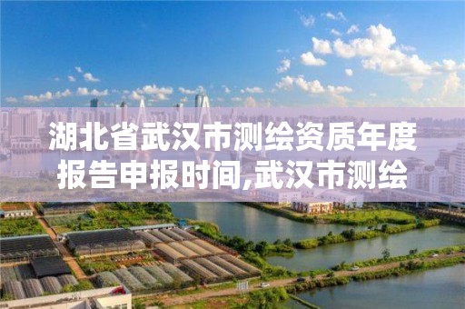 湖北省武汉市测绘资质年度报告申报时间,武汉市测绘院电话。