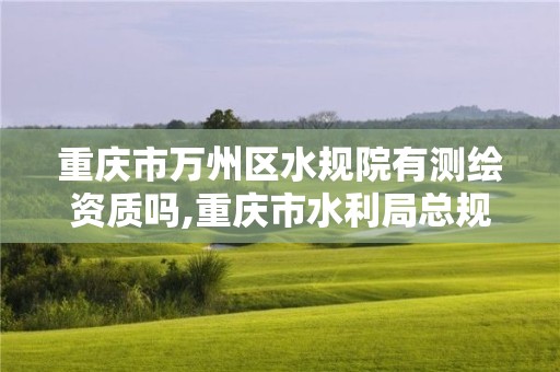 重庆市万州区水规院有测绘资质吗,重庆市水利局总规划师。