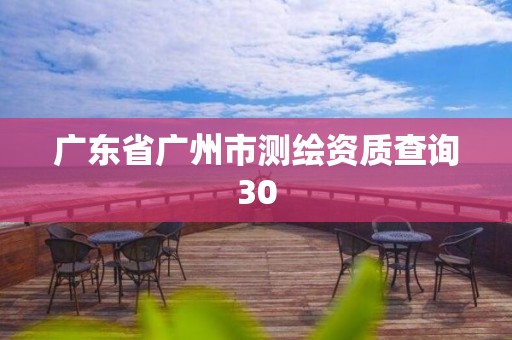 广东省广州市测绘资质查询30