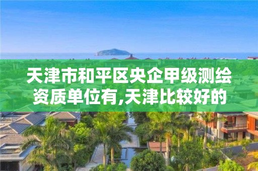 天津市和平区央企甲级测绘资质单位有,天津比较好的测绘单位。