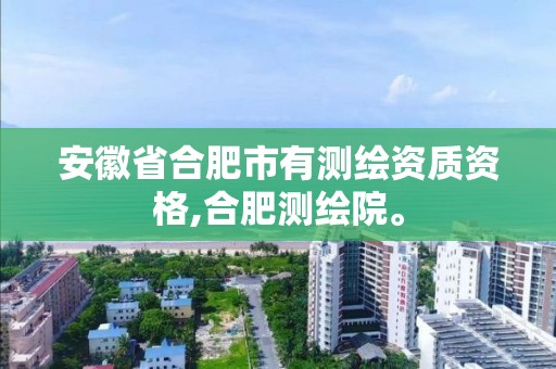 安徽省合肥市有测绘资质资格,合肥测绘院。