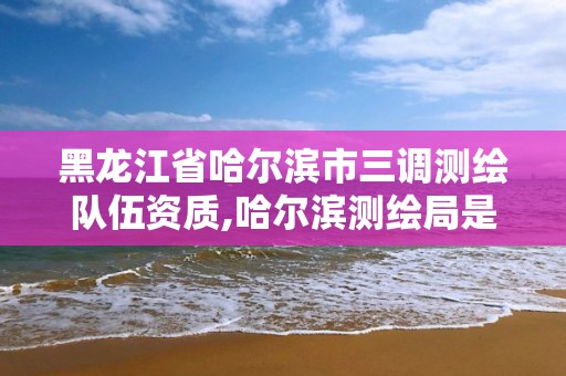 黑龙江省哈尔滨市三调测绘队伍资质,哈尔滨测绘局是干什么的。