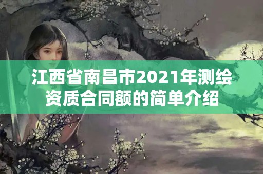 江西省南昌市2021年测绘资质合同额的简单介绍