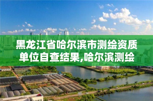 黑龙江省哈尔滨市测绘资质单位自查结果,哈尔滨测绘局怎么样。