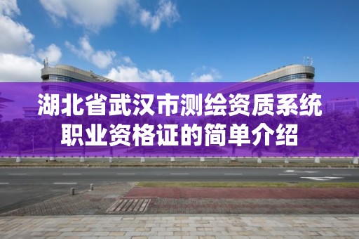 湖北省武汉市测绘资质系统职业资格证的简单介绍