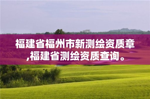 福建省福州市新测绘资质章,福建省测绘资质查询。