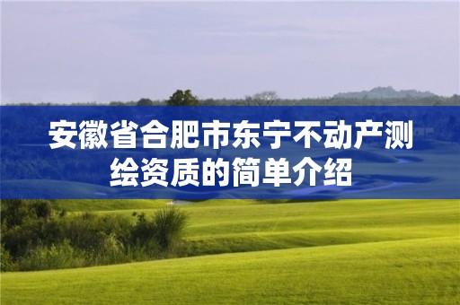 安徽省合肥市东宁不动产测绘资质的简单介绍