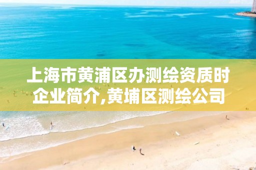 上海市黄浦区办测绘资质时企业简介,黄埔区测绘公司。