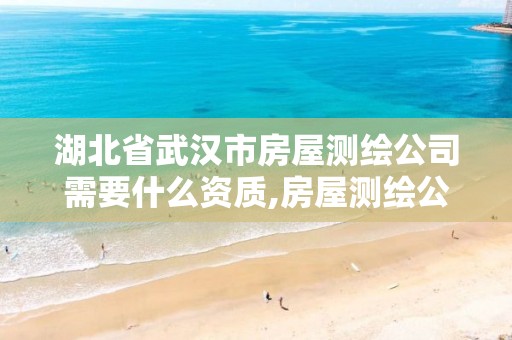 湖北省武汉市房屋测绘公司需要什么资质,房屋测绘公司归哪个部门。