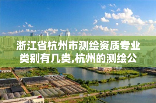 浙江省杭州市测绘资质专业类别有几类,杭州的测绘公司有哪些。