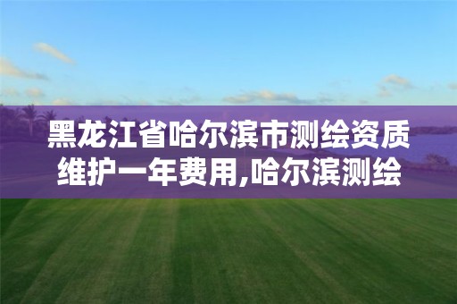 黑龙江省哈尔滨市测绘资质维护一年费用,哈尔滨测绘局工资怎么样。