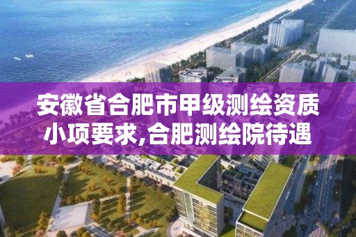 安徽省合肥市甲级测绘资质小项要求,合肥测绘院待遇怎么样。