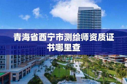 青海省西宁市测绘师资质证书哪里查