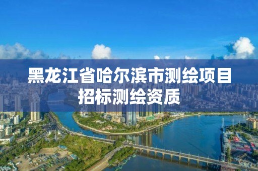 黑龙江省哈尔滨市测绘项目招标测绘资质