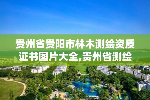 贵州省贵阳市林木测绘资质证书图片大全,贵州省测绘资质管理系统。