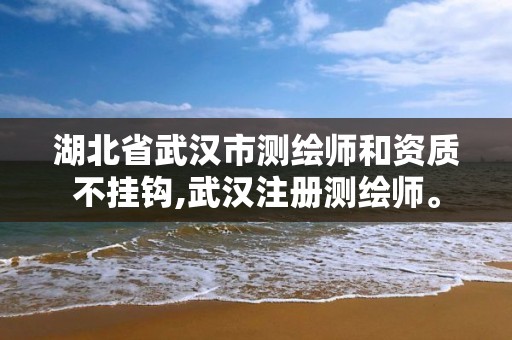 湖北省武汉市测绘师和资质不挂钩,武汉注册测绘师。