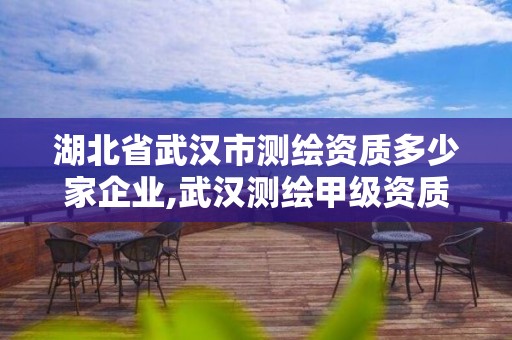 湖北省武汉市测绘资质多少家企业,武汉测绘甲级资质公司。