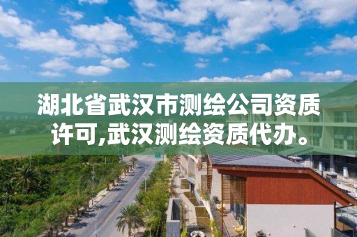 湖北省武汉市测绘公司资质许可,武汉测绘资质代办。