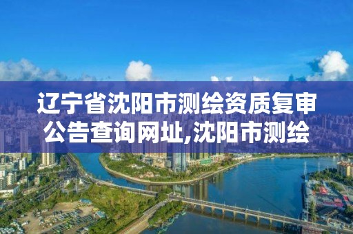 辽宁省沈阳市测绘资质复审公告查询网址,沈阳市测绘局官网。