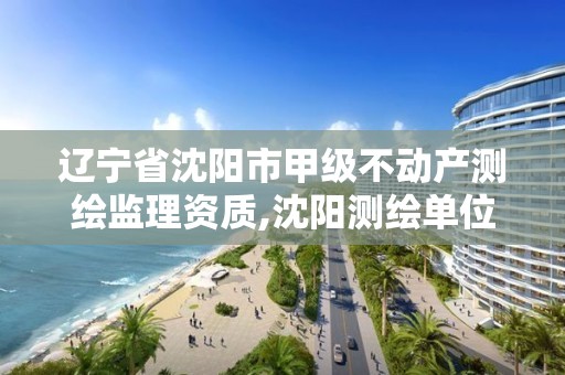 辽宁省沈阳市甲级不动产测绘监理资质,沈阳测绘单位排名。