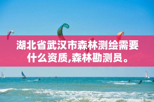 湖北省武汉市森林测绘需要什么资质,森林勘测员。