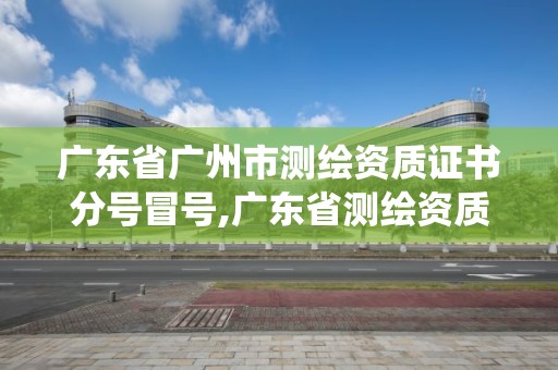 广东省广州市测绘资质证书分号冒号,广东省测绘资质管理系统。